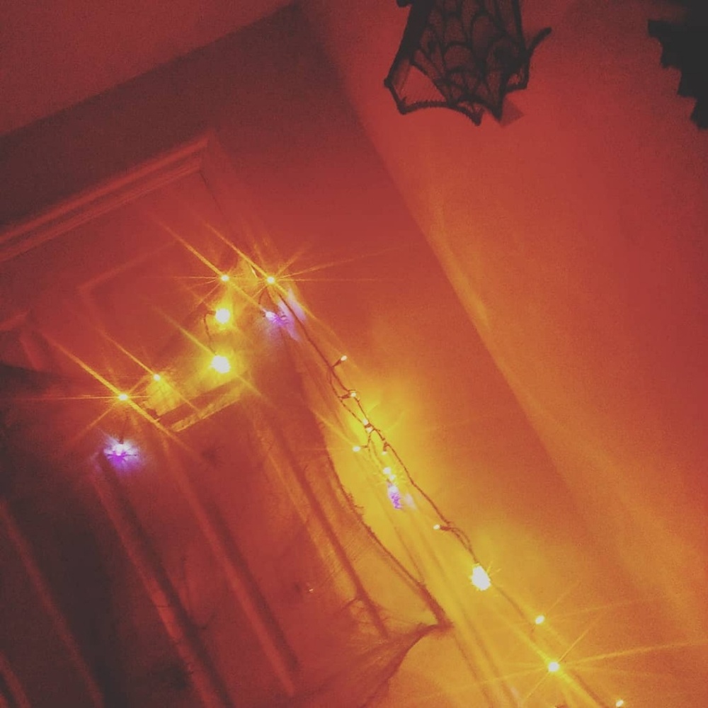 Meet your Posher, Paislee